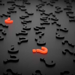 Lächerliche Fragen ans Papillon